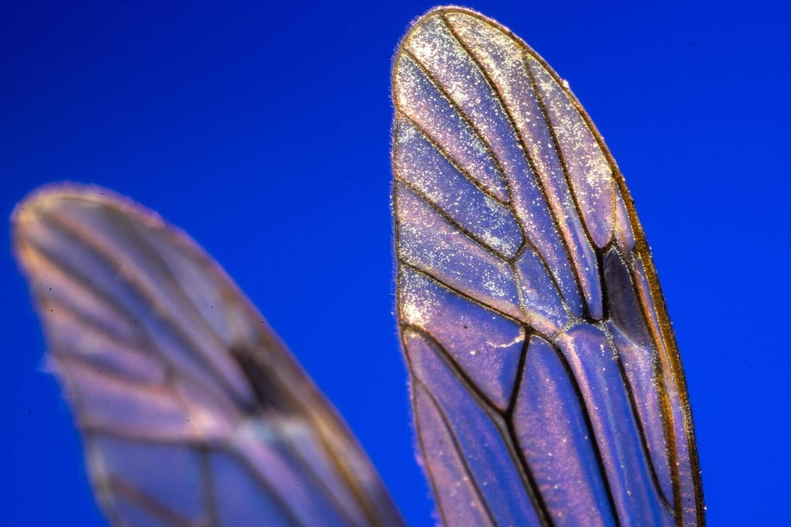 Project Glasswing and the Governance Conversation